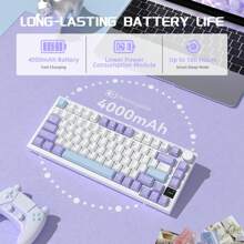 ATTACK SHARK * AJAZZ AK820PRO 75% TKL 机械键盘，2.4G 无线/BT5.1/USB-C 有线，81 键带 TFT 彩色显示屏和 CNC 旋钮游戏键盘，RGB 背光，热插拔线性开关，4000mAh 电池 - 紫白&飛魚軸 - 查看 10