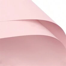 5 قطع / 10 قطع / 20 قطع ورق تغليف أزهار مقاوم للماء ذو لون أحادي للاستخدام الزخرفي، لتغليف باقات الورود لمحلات الزهور وهدايا عيد الأم والديكورات الحفلات والأعراس وأعياد الميلاد والاستخدام DIY - ورق تغليف زهور مقاوم للماء وللحواف الذهبية، مناسب لتصاميم جديدة وأفلام الزهور المقاومة للماء، تغليف باقات الورود الوردية/السوداء/البيضاء المقاومة للماء مع حواف وردي ذهبي، عودة للمدارس وعيد الحب - 20 قطعة - مشاهدة 36