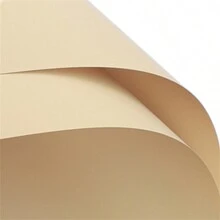 5 قطع / 10 قطع / 20 قطع ورق تغليف أزهار مقاوم للماء ذو لون أحادي للاستخدام الزخرفي، لتغليف باقات الورود لمحلات الزهور وهدايا عيد الأم والديكورات الحفلات والأعراس وأعياد الميلاد والاستخدام DIY - ورق تغليف زهور مقاوم للماء وللحواف الذهبية، مناسب لتصاميم جديدة وأفلام الزهور المقاومة للماء، تغليف باقات الورود الوردية/السوداء/البيضاء المقاومة للماء مع حواف وردي ذهبي، عودة للمدارس وعيد الحب - 20 قطعة - مشاهدة 33