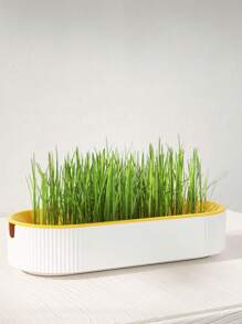 1pc Water Culture Box For Cat Grass, Cat Snack Planting Hydroponic Box, Feeding Tool (Seed Not Included) - Multicolor - View 3