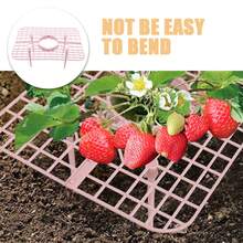 4入組草莓植物支撐架-帶有4根穩固的腿草莓種植框架，保持莓果清潔 - 粉色 - 查看 3