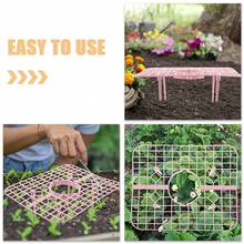 4入組草莓植物支撐架-帶有4根穩固的腿草莓種植框架，保持莓果清潔 - 粉色 - 查看 4