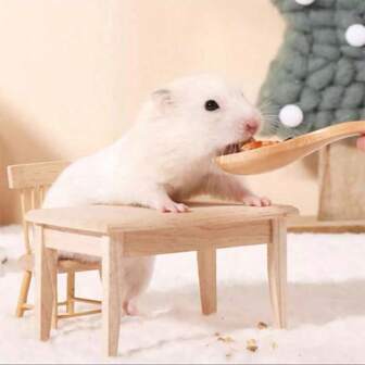 1pc Cute Wooden Spoon For Pet Hamster Feeding, Versatile For Multiple Uses