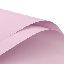 5 Stück/10 Stück/20 Stück Dekorpapier zum Einwickeln, wasserfestes florales Bouquet Einwickelpapier für Floristenbedarfe, Muttertagsgeschenke, Partydekoration, Blumenläden, Hochzeiten, Geburtstage und DIY Basteleien. Optionen beinhalten: Einfarbig mit Goldkanten, koreanischer Farbverlauf-Einzelbögen, transparente Glasbahn, einfarbiges matter Bouquet Papier mit Rosegoldrahmen und vintage Kraftpapier für Geschenkboxen., Weihnachten, Valentinstag