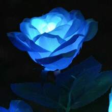 1入組花園太陽能裝飾燈，戶外防水逼真人造玫瑰花，適用於後院、步道、門廊、致哀公墓墓地裝飾，紅色 - 藍色 - 查看 3