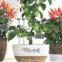 10 Piezas/set Soporte De Maceta, Soporte De Soporte De Crecimiento De Planta, Estaca De Planta Para Flores En Macetas, Abrazadera Fija Para Hojas Que No Se Caen