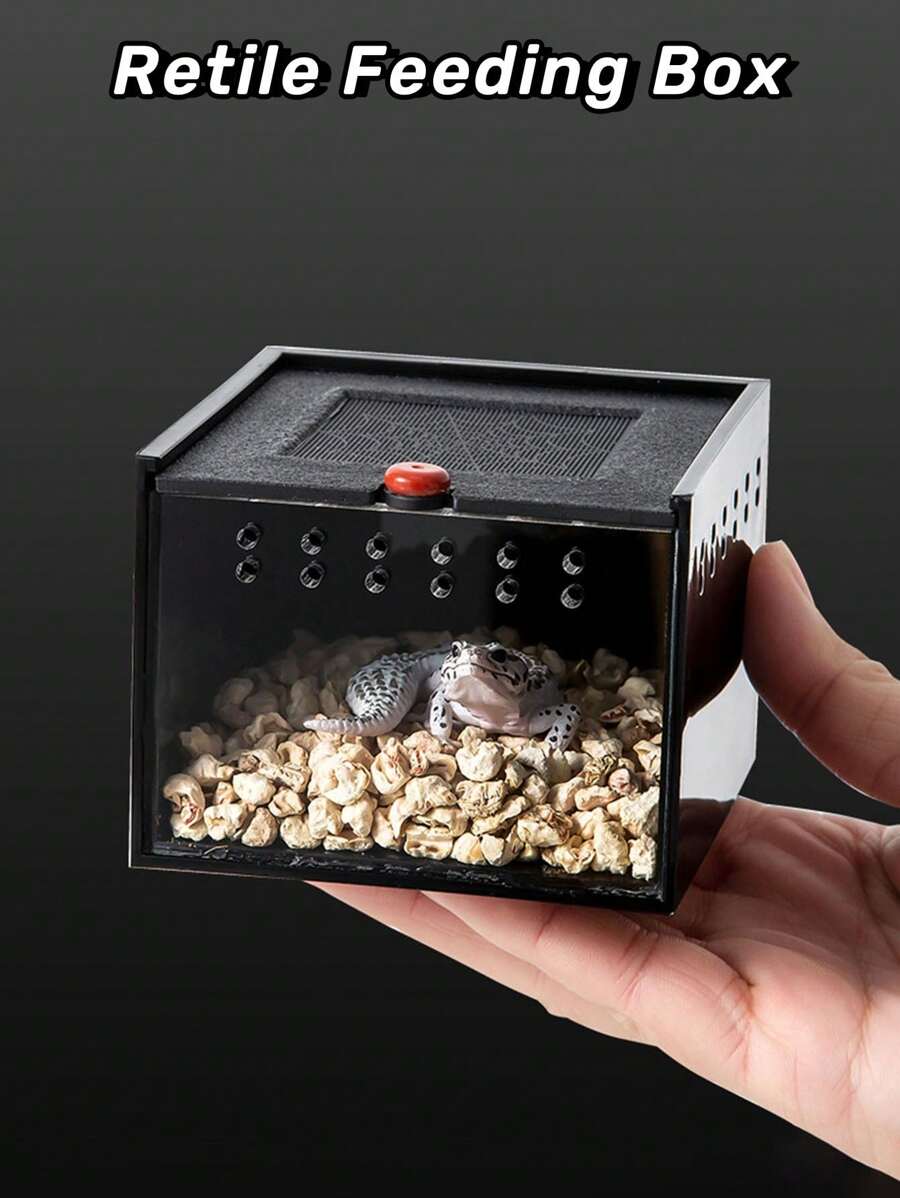 1入組蜘蛛、蠍子和甲蟲用壓克力微縮昆蟲瓶,透明設計,適用於辦公桌或寵物爬蟲類的家 - 無色 - 查看 1