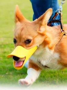 BOZAL DE PERRO EN FORMA DE PICO DE PATO - Verde - Ver 3