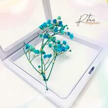 Party/Wedding/Event Creative & Minimal Table Decoration Wall Hanging Star-Shaped Dried Flower Photo Frame Set Best Gifts Birthday - Multicolor - View 4