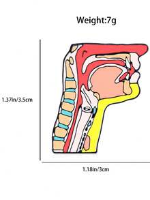 1入解剖學耳鼻喉科搪瓷胸針醫用ent掛繩胸針背包徽章珠寶禮物,獻給醫生、護士和畢業生 - A3-P397 - 查看 4