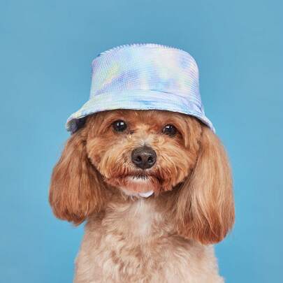 1 pieza Sombrero de sol con estampado de teñido anudado lindo para mascotas, adecuado para perros y gatos pequeños/medianos, para uso en exteriores en primavera/verano