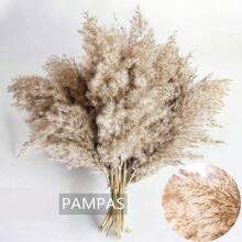 12/30 件，16.5 英寸高蓬松蒲苇，棕色高花瓶干夸张装饰波西米亚婚礼花，适用于节日装扮花束、派对、婚礼和其他装饰。、情人节、礼物生日毕业、秋季装饰、秋季、假植物 - 棕色 - 查看 5