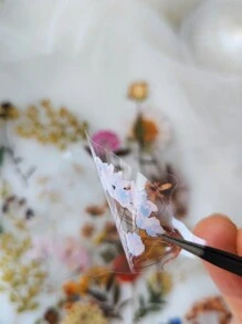 1包/40張浪漫花屋、植物與花瓣設計寵物貼紙，適用於手帳、筆記本等DIY裝飾，返校季文具用品 - 彩色 - 查看 5