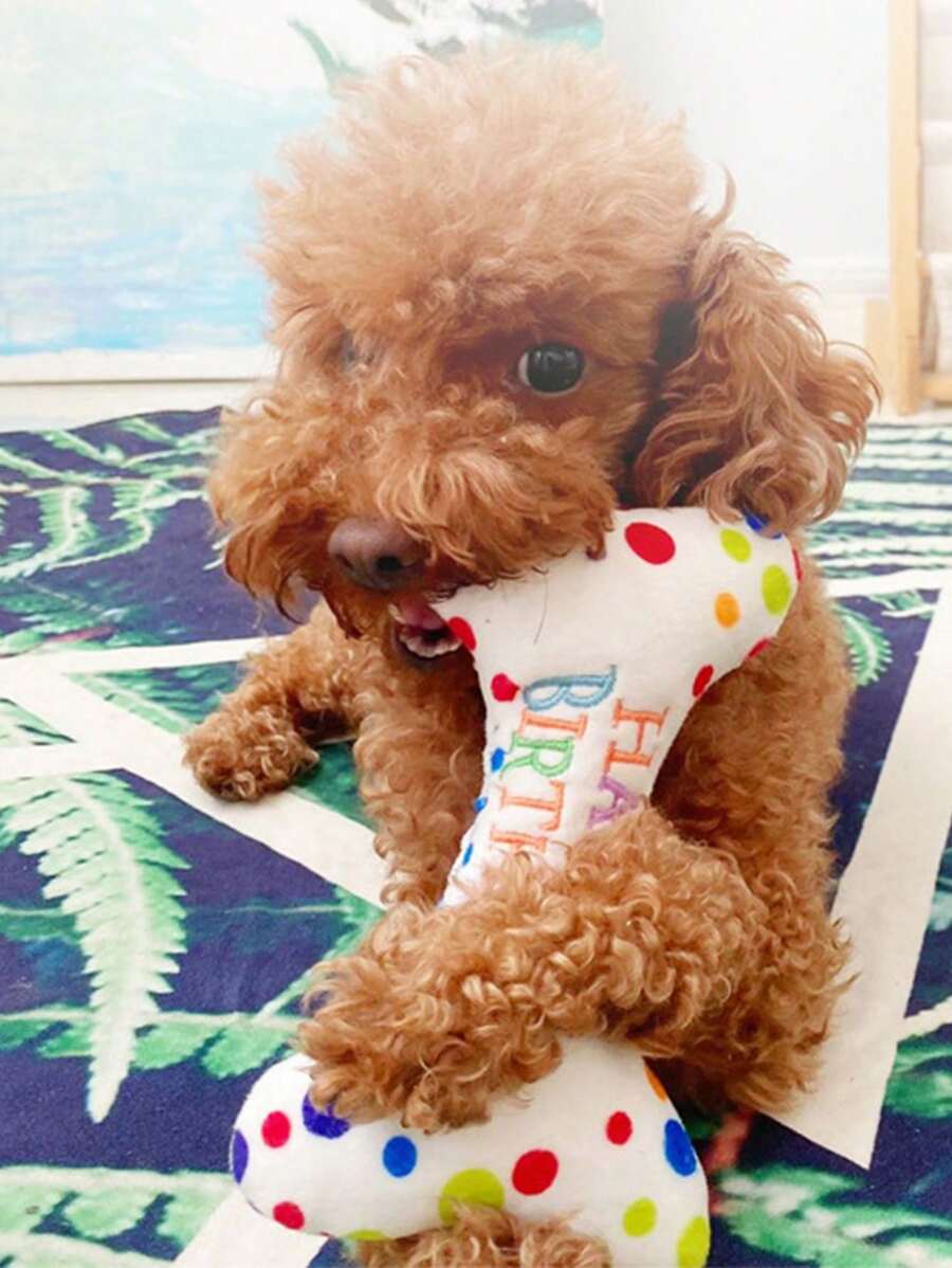 1 đồ chơi cho mèo chủ đề sinh nhật đồ chơi búp bê thú cưng chấm bi nhiều màu sắc, được thiết kế chỉ dành cho thú cưng (Họa tiết trên trung tâm bánh được sắp xếp ngẫu nhiên) - trắng - Xem 1