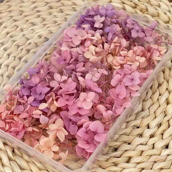 1Box Multicolour Hydrangea Dried Flowers-Perfect For DIY Crafts,Candles,Weddings,Diy Handmade,Christmas