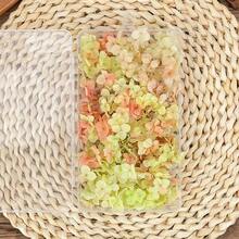 1Box  Multicolour Hydrangea Dried Flowers-Perfect For DIY Crafts,Candles,Weddings,Diy Handmade - Red Green Gradient Color - View 3