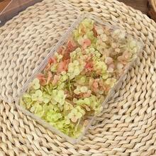 1Box  Multicolour Hydrangea Dried Flowers-Perfect For DIY Crafts,Candles,Weddings,Diy Handmade - Red Green Gradient Color - View 2