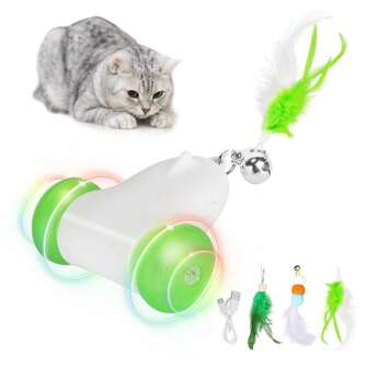 Pet Chasing Toys