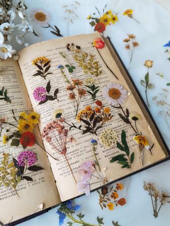 1pack/40pcs Romantic Flower House, Plant & Flower Petals Design Pet Stickers For Diy Decoration Of Journals, Notebooks, Etc. Back To School