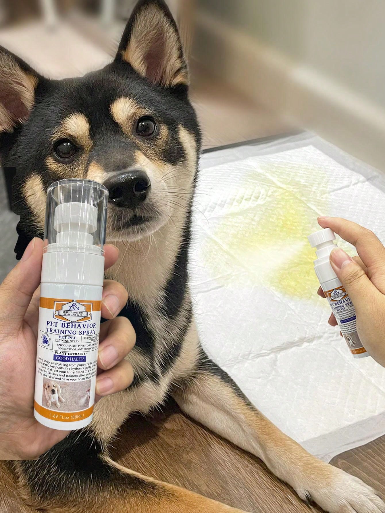 Potty Here Training Aid Spray Attractive Scent Helps Train Puppies
