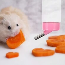 Bebedero para Cuyo,Conejo,Hamster,Bebedero para Roedores, Cuenco de Agua para Ratones, 400 Ml