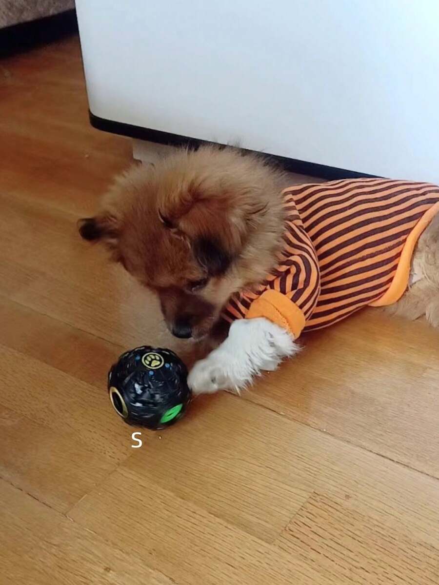 1pc S/M/L Black Hard Plastic Treat Dispenser, Interactive Ball Shape