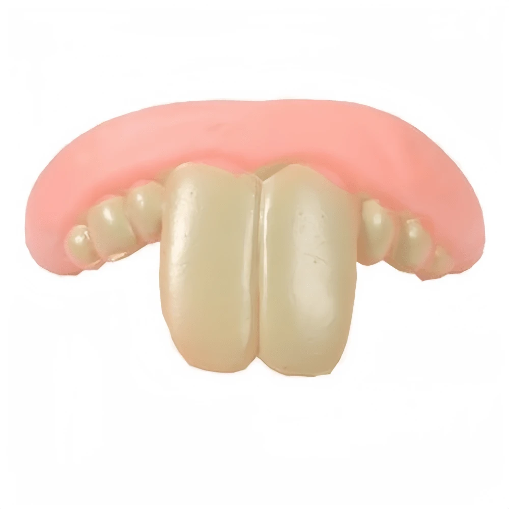 有趣的狗假牙,柯基犬造型的惡作劇假牙,兔子牙齒造型,狗狗幽默禮物 - 彩色 - 查看 1