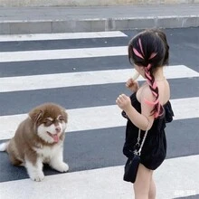 2pcs Kids Colorful Hair Extensions, Natural Looking Seamless Clip-In Hair Pieces For Highlights, Hair Accessories For Girls And Boys - Pink - View 4