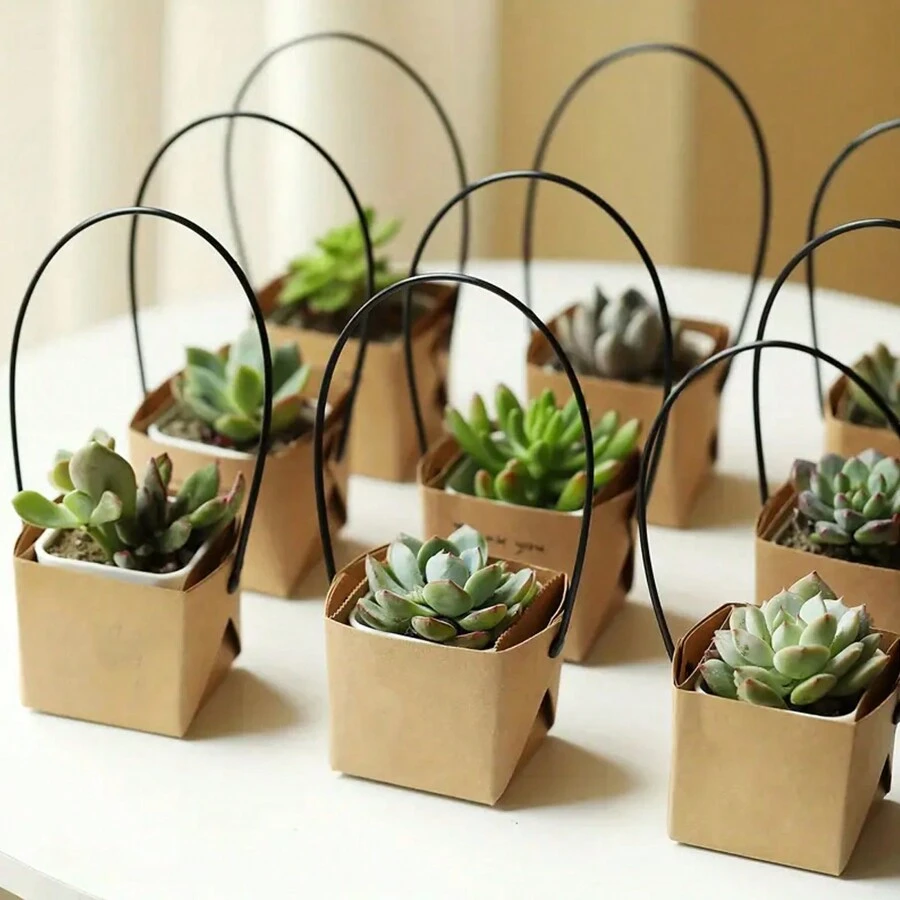 20 CÁI/Bộ, Bánh Mọng Nước Phù Hợp Với Lon Mini 5.08cm/2in, Hộp Mọng Nước, Túi Quà Giấy Kraft, Cảm ơn vì đã Trang Trí Bộ Sản Phẩm Bằng Nhãn Mọng Nước, Món Quà Cưới Yêu Thích, Giáo Viên Sáng Tạo, Bao Bì Biết Ơn, Giáng Sinh Ngày Lễ Tình Nhân - Màu Khaki - Xem 1