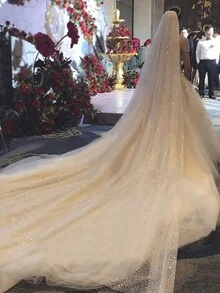 1 Pc Women 1 Tier Long Cathedral Length 3M Glitter Tulle Wedding Bridal Veil With Metal Comb For Wedding Party White Ivory Champagne Fall Clothes For Women - Multicolor - View 4