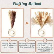 50 株天然保存的潘帕斯草束 - 波西米亚风格家居和婚礼装饰的花艺，情人节，生日毕业礼物，秋季装饰，秋季