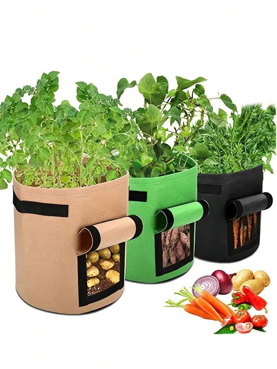 1 Miếng Đương thời Tròn Trong nhà Và Đối với Rau Túi Lớn lên Trồng Ngoài trời Sân vườn Hoa Trồng Cái túi Với Xử lý Sân vườn Rau Trồng Thùng đựng hàng Thực vật phát triển Túi , Thoáng khí Felt Thực vật Sự lớn lên Thực vật Bình , Sân vườn Giường Ngoài trời 5 Và 10 Gallon Cày cấy Hộp đựng Với Nhiều Thành phần Đã Bao gồm - Lý tưởng Đối với Khoai tây , Rau , Và Cây con Dụng cụ Làm Vườn , Sanh trưởng Của bạn Sân vườn In Phong cách Với Cái này Vải không dệt Felt Sanh trưởng - màu đen - Xem 1