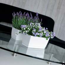 Bonsai - Weiss - View 4