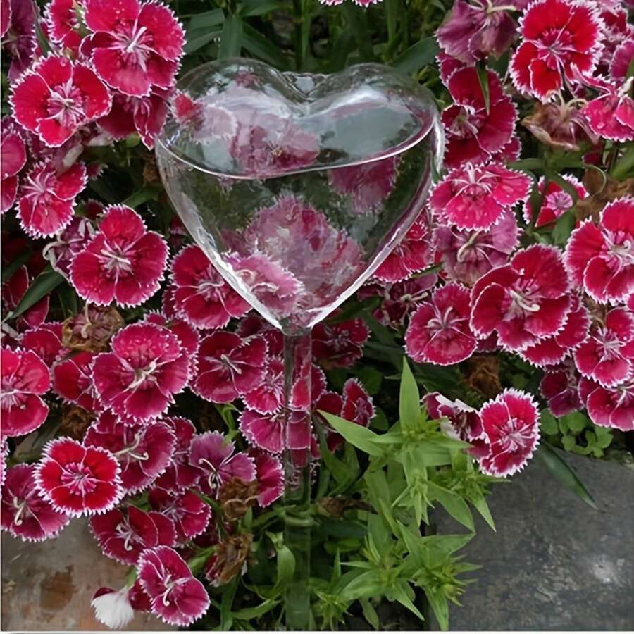 1/2/5/6pcs,Plastic Heart Shaped Waterer, Plante Automatic Waterer,Business Travel Waterer,Slouchy Home Watering Drip Tube,PVC Flower Pot,Garden Tool Supplies,Flower Pot - Clear - View 1