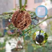 FEPK 5 件装植物根系生长箱、繁殖球、可重复使用嫁接装置、花园植物生根球孵化器、树木嫁接生根装置、植物快速生长空气分层荚 - 彩色 - 查看 8