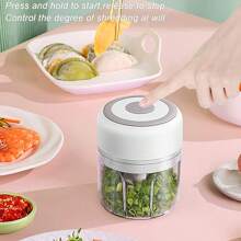 FLZH Elektrischer Knoblauch-häcksler, Tragbarer Veggie-chopper, 250ml, 100ml, Knoblauchmühle Zwiebelhacker, Mixer Für Gemüse, Kabelloser Lebensmittel-prozessor Für Ingwer, Chili, Früchte, Fleisch, Gewürze, Bohnen