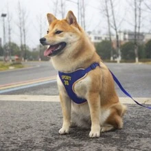 1入組運動風格狗繩,可伸縮狗胸背部透氣反光牽引寵物胸帶 - 彩色 - 查看 15