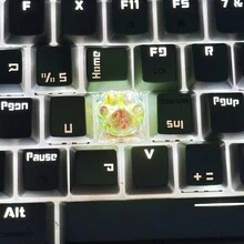 1 Miếng Nhiều màu ABS Trong mờ Nhựa lột vỏ & Giấy Móng mèo Nắp chìa khóa Đối với Đồng hồ Động lực Bàn phím Cuộc họp - Nhiều màu - Xem 7