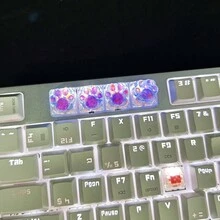 4入組彩色背光abs樹脂貝殼貓爪鍵帽,可組裝至機械式鍵盤 - 彩色 - 查看 6