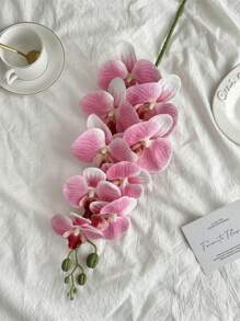 1pc Artificial Orchid Stems Real Touch Latex Phalaenopsis Branches Faux Cymbidium Flowers, Valentine Day, Gift Gifts Birthday Graduation Home Decor Back To School Room Decor School Supplies