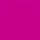 Rosa Fucsia
