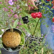 FEPK 5 件装植物根系生长箱、繁殖球、可重复使用嫁接装置、花园植物生根球孵化器、树木嫁接生根装置、植物快速生长空气分层荚 - 彩色 - 查看 4