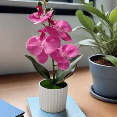 1 件人造蝴蝶兰盆栽植物，情人节礼物
