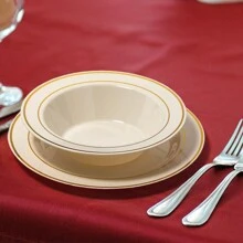 25 件白色带金边可重复使用塑料盘子，可用洗碗机清洗 - 适用于婚礼、感恩节、生日、圣诞礼物派对、餐饮、餐厅、厨房、居家旅行、深盘、厨房、圣诞礼物、学校用品 - 彩色 - 查看 10