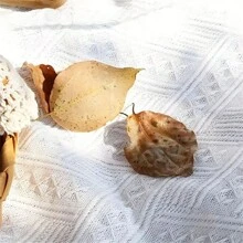 1pc Outdoor Camping Mat, Picnic Mat, Beach Mat For Anti-Moisture, Suitable For Summer And Spring For Rvs, Outdoor Camping, Picnics, Offices, Travel And School Supplies - White - View 5