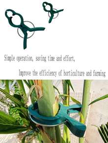 Gardening Phalaenopsis And Garden Tool Set, Including Tomato Plant Clips, Plastic Clips, Used To Fix Plants And Promote Better Growth - Multicolor - View 8