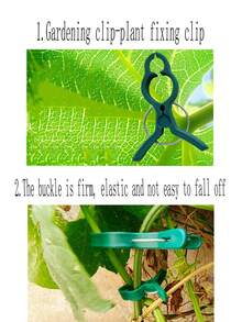 Gardening Phalaenopsis And Garden Tool Set, Including Tomato Plant Clips, Plastic Clips, Used To Fix Plants And Promote Better Growth - Multicolor - View 3