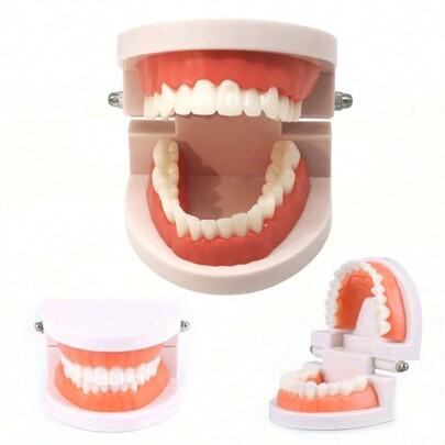 أدوات تعليمية لتنظيف الأسنان والأدوات التعليمية للحياة العملية المحاكية ولعب المهارات الحياتية العملية