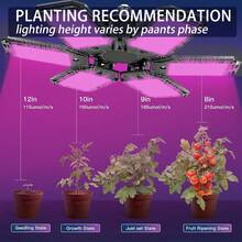 Led植物生長燈,ac85-265v,紅藍(660nm+460nm)全光譜室內植物生長燈,適用於水耕、育苗、蔬菜、花朵,適用於e26/e27底座,適用於植物苗圃,溫室,全年適用 - 紅藍光 - 查看 3