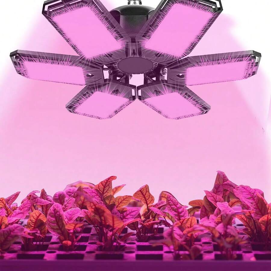 Led植物生長燈,ac85-265v,紅藍(660nm+460nm)全光譜室內植物生長燈,適用於水耕、育苗、蔬菜、花朵,適用於e26/e27底座,適用於植物苗圃,溫室,全年適用 - 紅藍光 - 查看 1